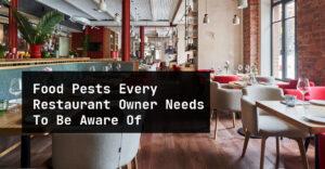 Food-Pests-Every-Restaurant-Owner-Needs-To-Be-Aware-Of