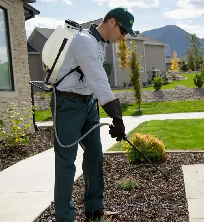 Acme Pest Solutions Oakville