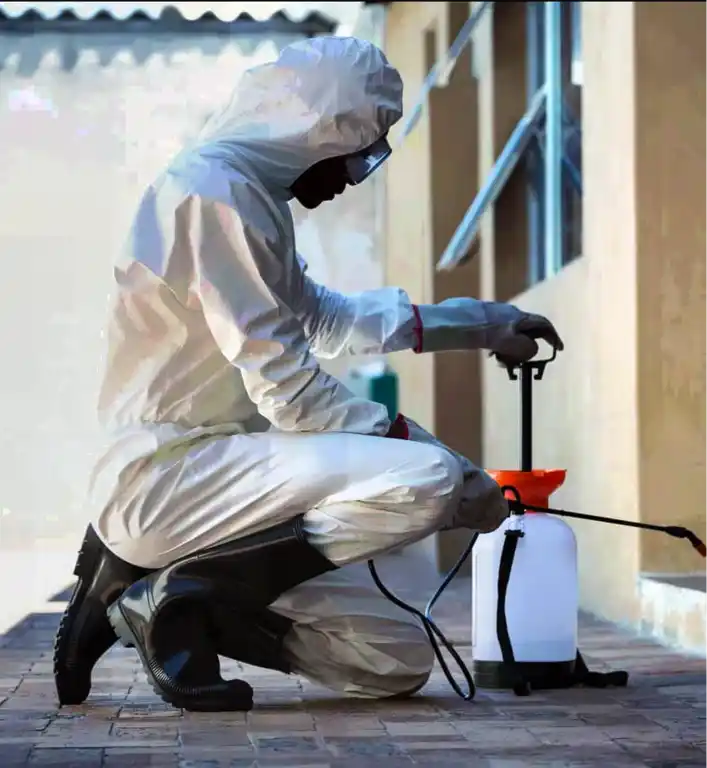 Acme Pest Control Tronoto