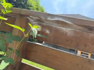 Different JOBS of Acme Pest Solutions 2