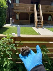 Different JOBS of Acme Pest Solutions 3