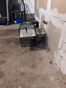 Different JOBS of Acme Pest Solutions4