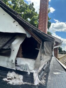 Pest Control services in Milton