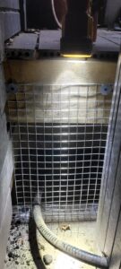 Raccoon removal Service 4