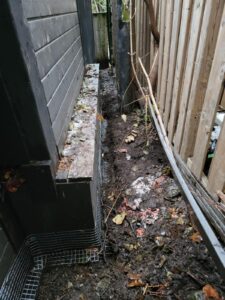 Raccoon removal Service 7