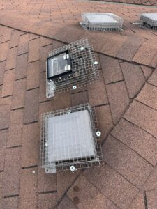 wildlife Removal Services in Toronto